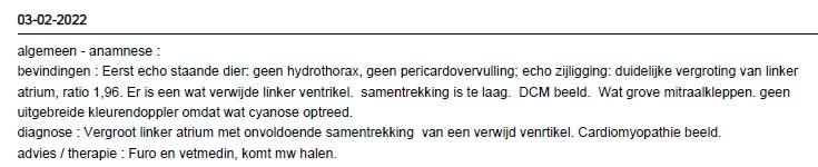 Het hart is niet vergroot bij cavia Roos op de rontgenfoto